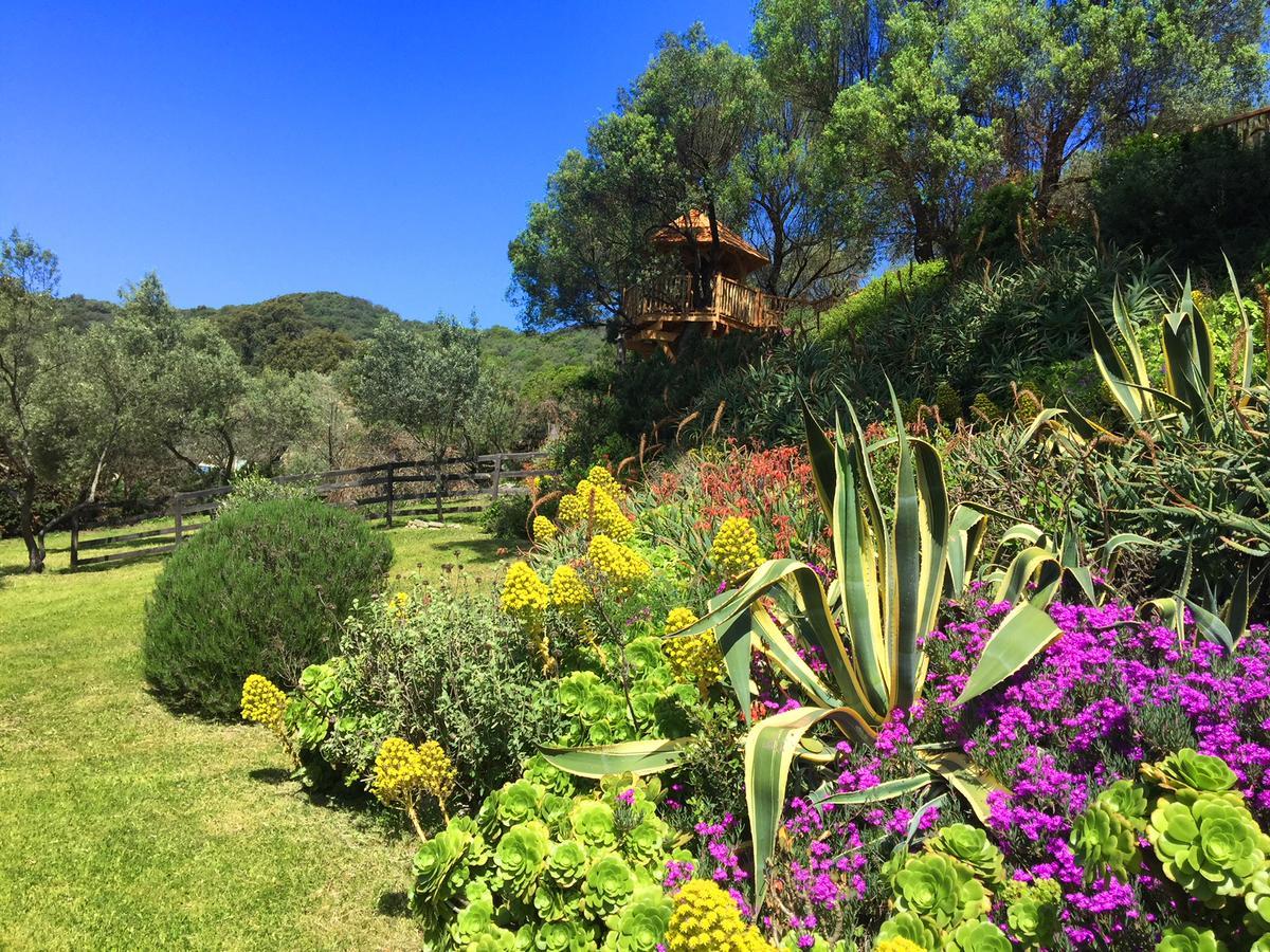 L'Hostellerie Du Moulin Des Oliviers Olmeto  Dış mekan fotoğraf