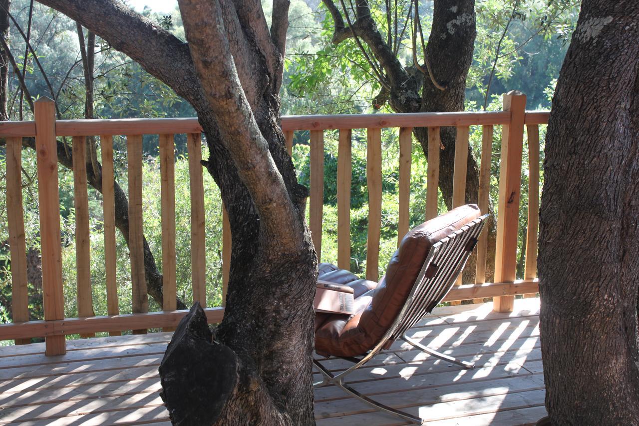 L'Hostellerie Du Moulin Des Oliviers Olmeto  Dış mekan fotoğraf